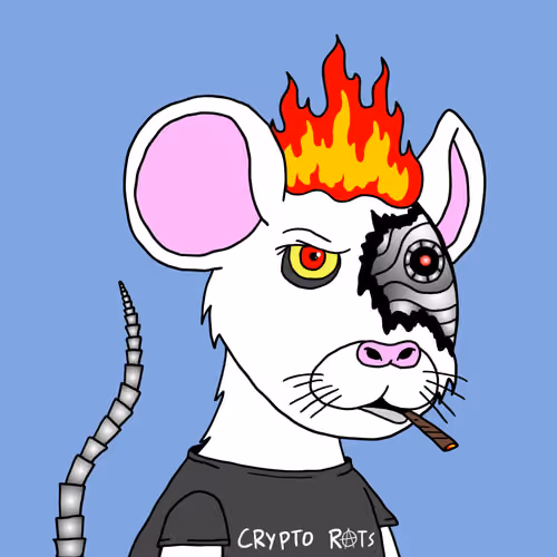 Crypto Rats