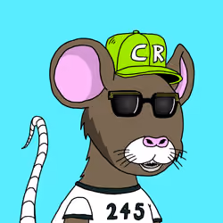Crypto Rats