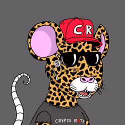 Crypto Rats