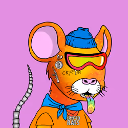 Crypto Rats