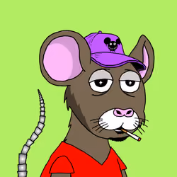 Crypto Rats