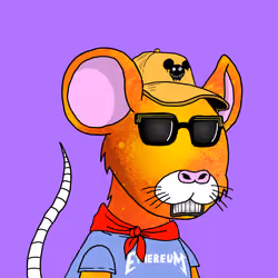 Crypto Rats