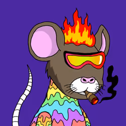 Crypto Rats