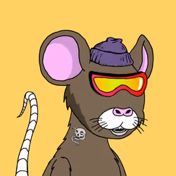Crypto Rats