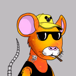 Crypto Rats