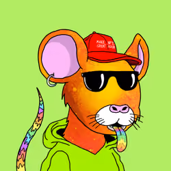 Crypto Rats