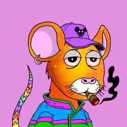 Crypto Rats