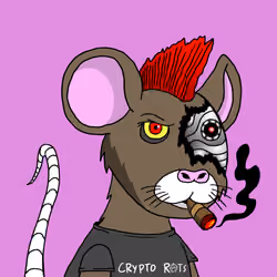 Crypto Rats