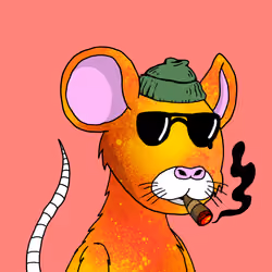 Crypto Rats