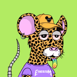 Crypto Rats