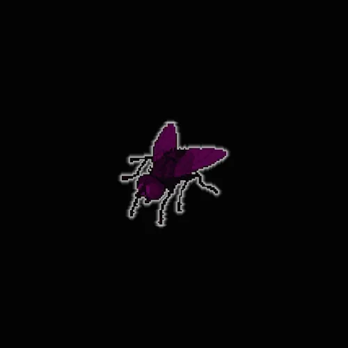 Chosen Fly