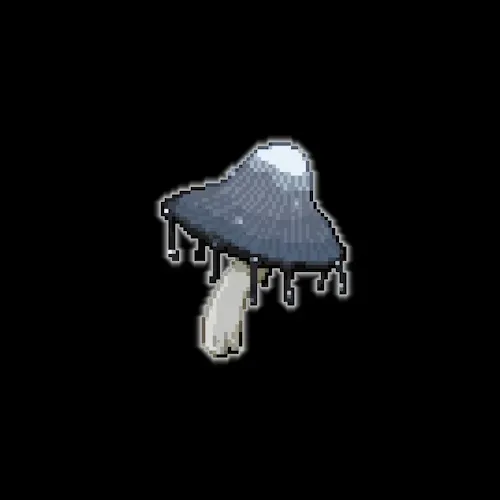 Wagdie Tokens Of Concord