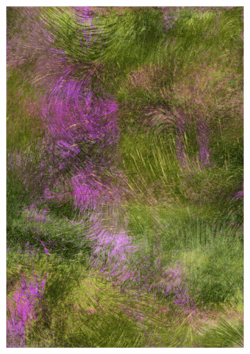 Item #1474083541 Media