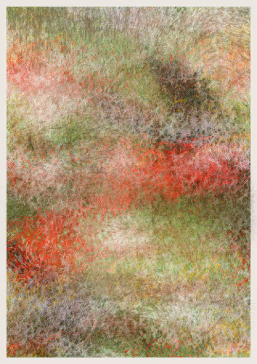 Item #2442089816 Media