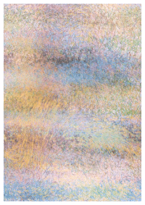 Item #810215208 Media