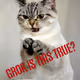 Grok is this True? #888