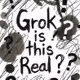 Grok is this True? #273