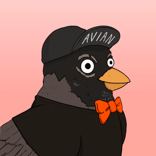 Avian Avatars V2