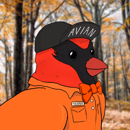 Avian Avatars V2