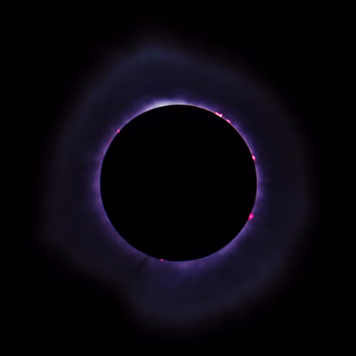 Violet Horizon