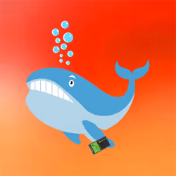 WHALES #3278
