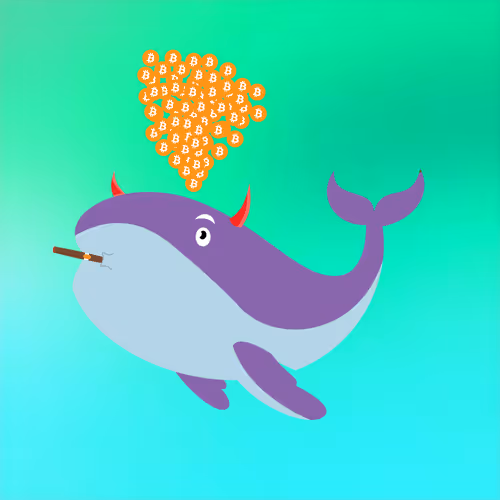 WHALES #4938