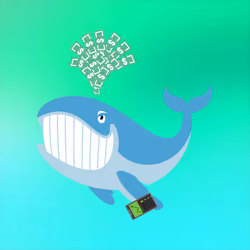 WHALES #2349