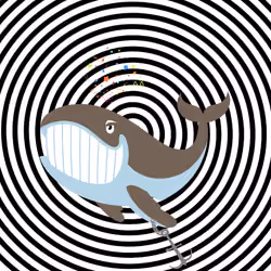 WHALES #4978