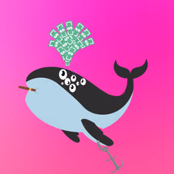 WHALES #5713