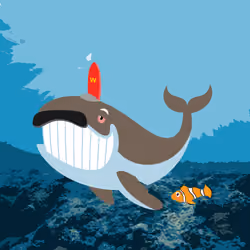 WHALES #1079