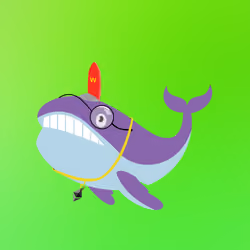 WHALES #3234