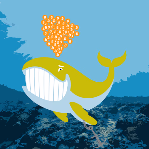 WHALES #2902