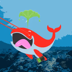 WHALES #1133