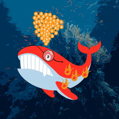 WHALES #6935