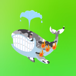 WHALES #5088
