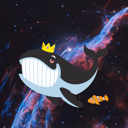 WHALES #6427
