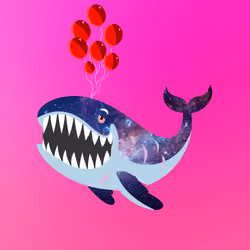 WHALES #2797