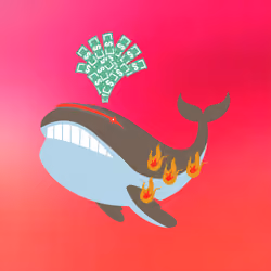 WHALES #5615