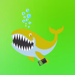 WHALES #3713