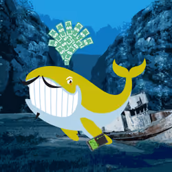 WHALES #837