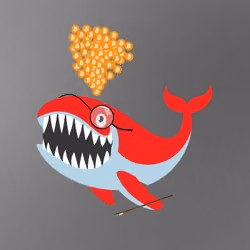 WHALES #6308