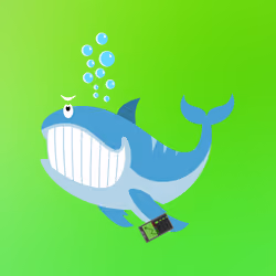 WHALES #5034