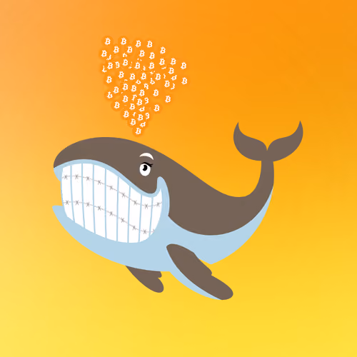 WHALES #1270