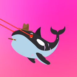 WHALES #2375