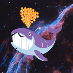 WHALES #4492