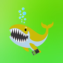 WHALES #1406