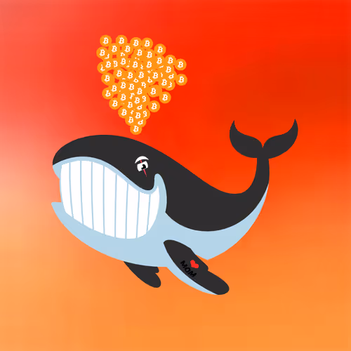 WHALES #6367