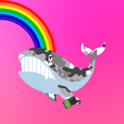 WHALES #584