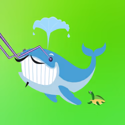 WHALES #2169