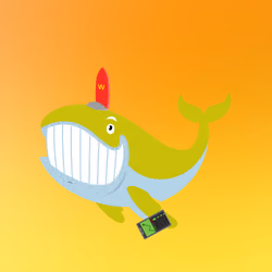 WHALES #1731